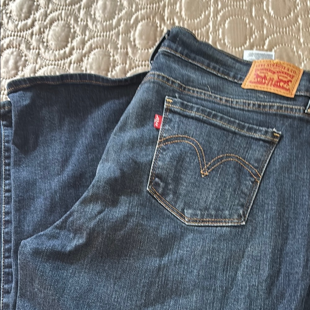 Levi's Women's Blue Jeans